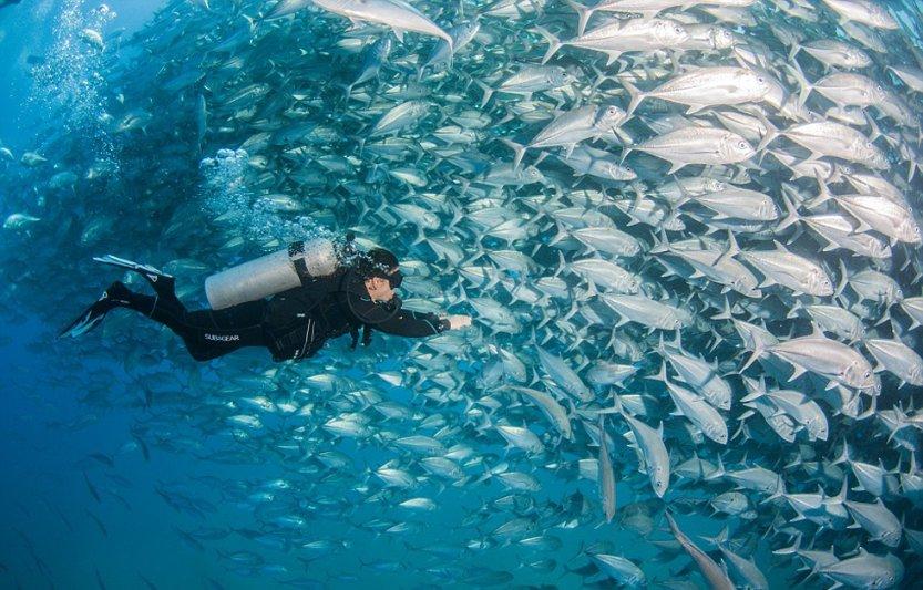 海盗的寻宝之旅